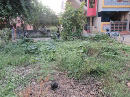 3) Li Id : 189 - Pic 4.JPG